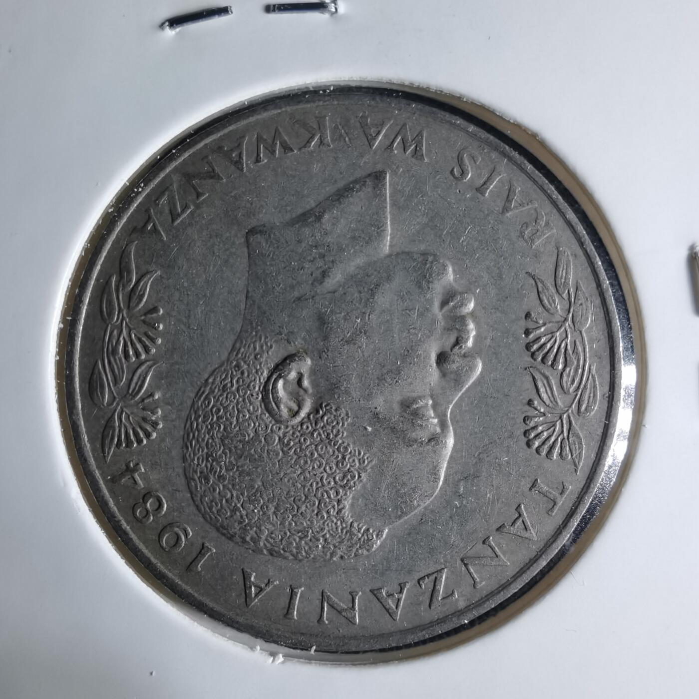 沼泽如烟--第1039场