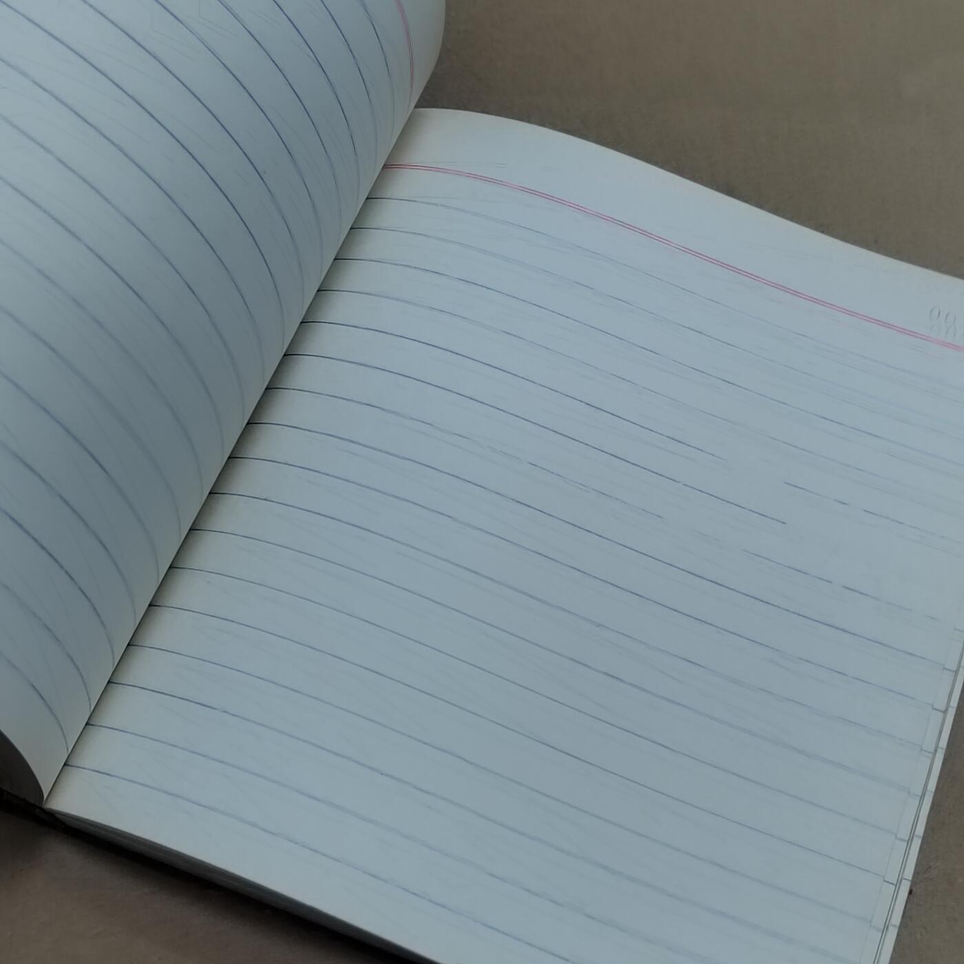 PCAI钱币  31-793  钱币书籍小专场 工作日志  作废使用过