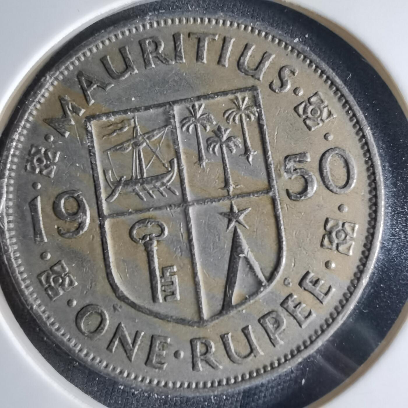 沼泽如烟--第1039场