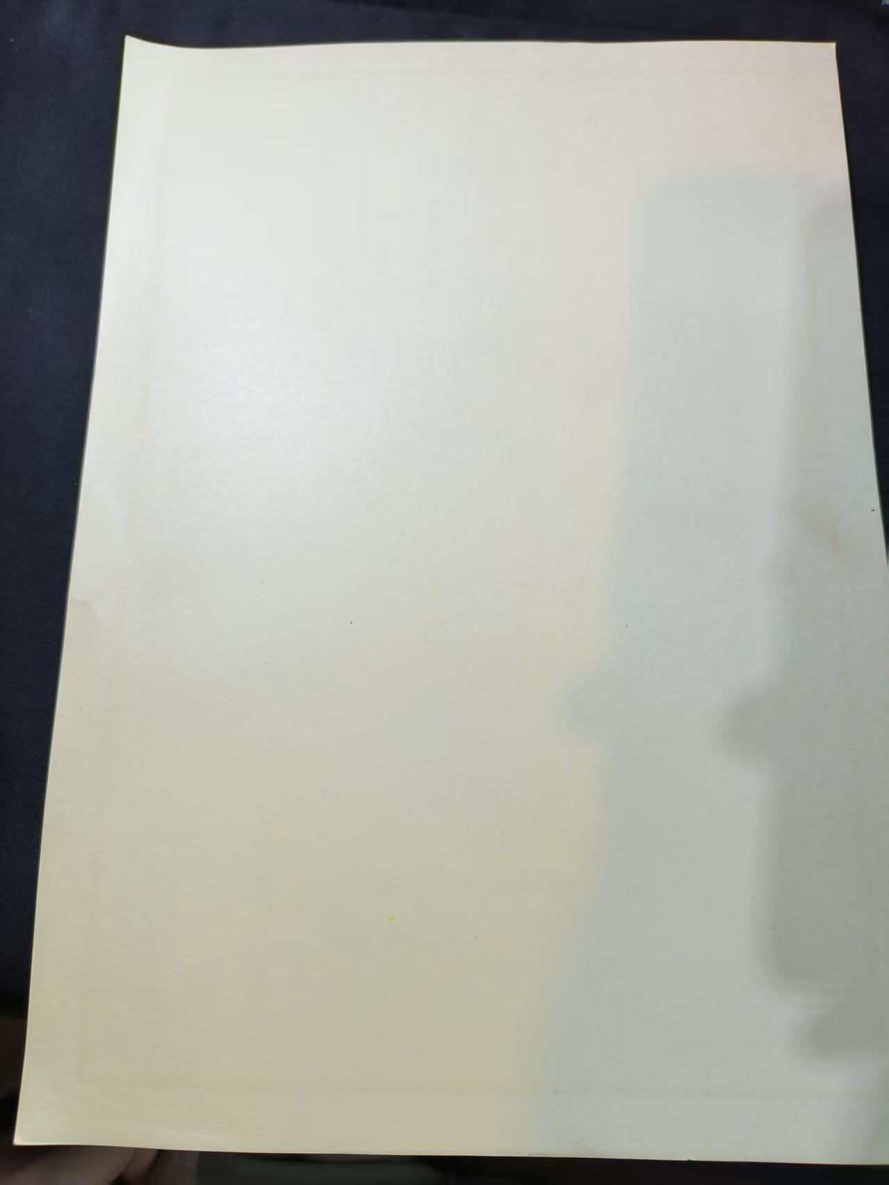 云宸嘉赏-勋臻文献佳藏优品精选场次（低佣 转发佣金红包） 联邦德国国防军军官任命证书 全新空白 