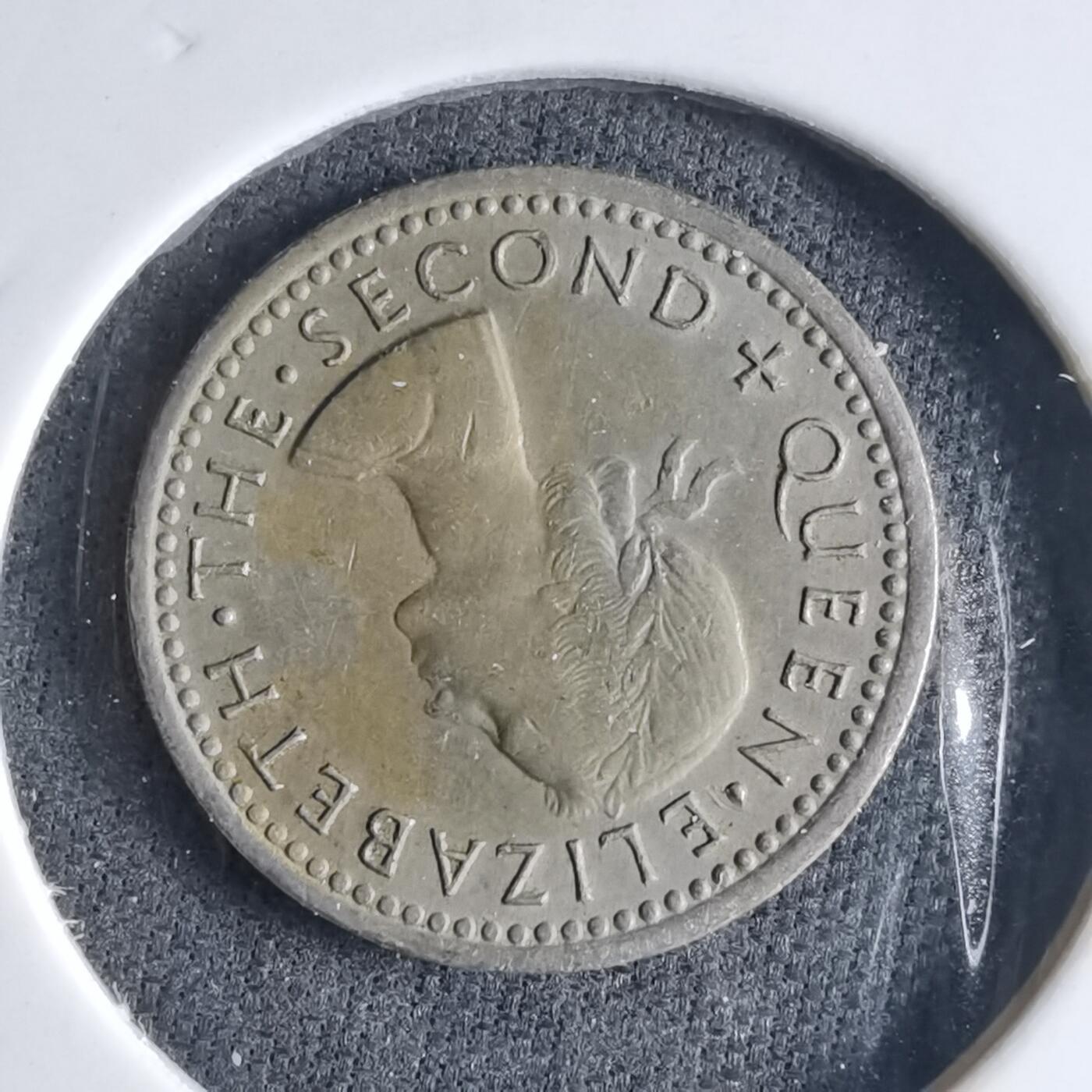 沼泽如烟--第1040场