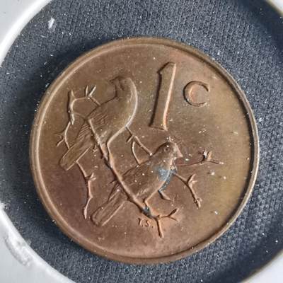 沼泽如烟--第1039场 - 南非1971年一分