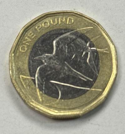 S&S Numismatic世界钱币-拍卖 第124期  - • 圣赫勒拿和阿森松岛2022年1英镑双色币