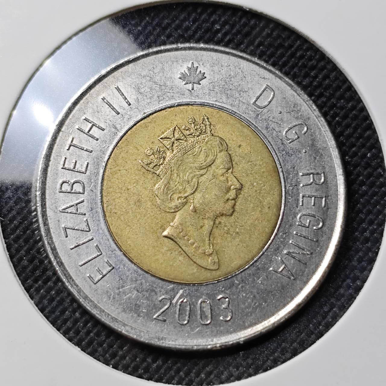 KK钱币收藏小铺  第412期 2月预留时间 周末发货 2003加拿大2元 