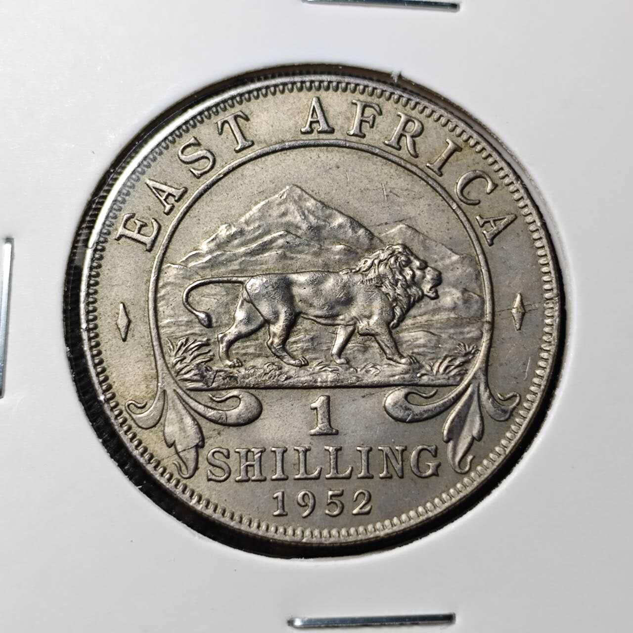 KK钱币收藏小铺  第412期 2月预留时间 周末发货 1952英属东非1先令 深打状态