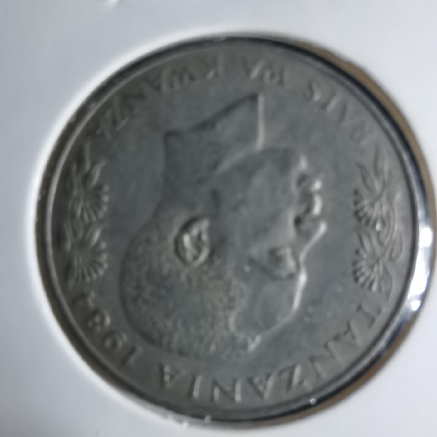 沼泽如烟--第1039场