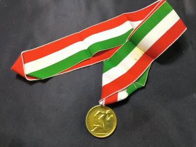 云宸嘉赏-勋臻文献佳藏优品精选场次（低佣 转发佣金红包） - 匈牙利人民共和国体育竞赛冠军奖章 长绶带版本 