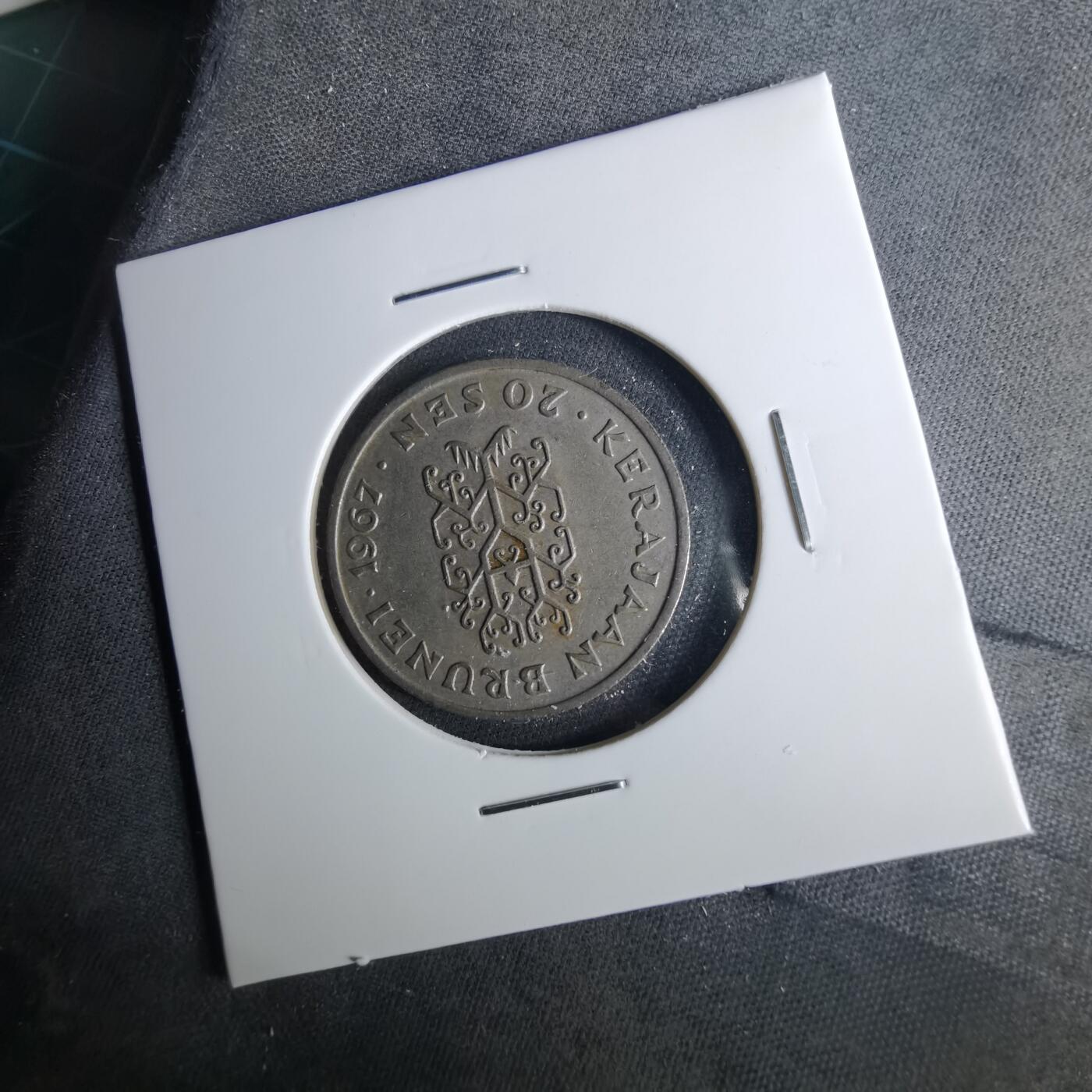 沼泽如烟--第1039场