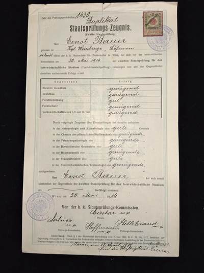 凯旋世界勋赏（第23期）（欢迎送拍）（对拍品有疑问请询问客服，不接受到手刀，出价默认拍品品相。请认真阅读拍卖规则！出价默认已认可！）（收到货请录制开箱视频，无视频概不处理问题。） - 奥匈帝国 1914年 第二次国家考试 证书 恩斯特·鲍尔 完成的第二次林业生产专业考试，主席和考试委员签发