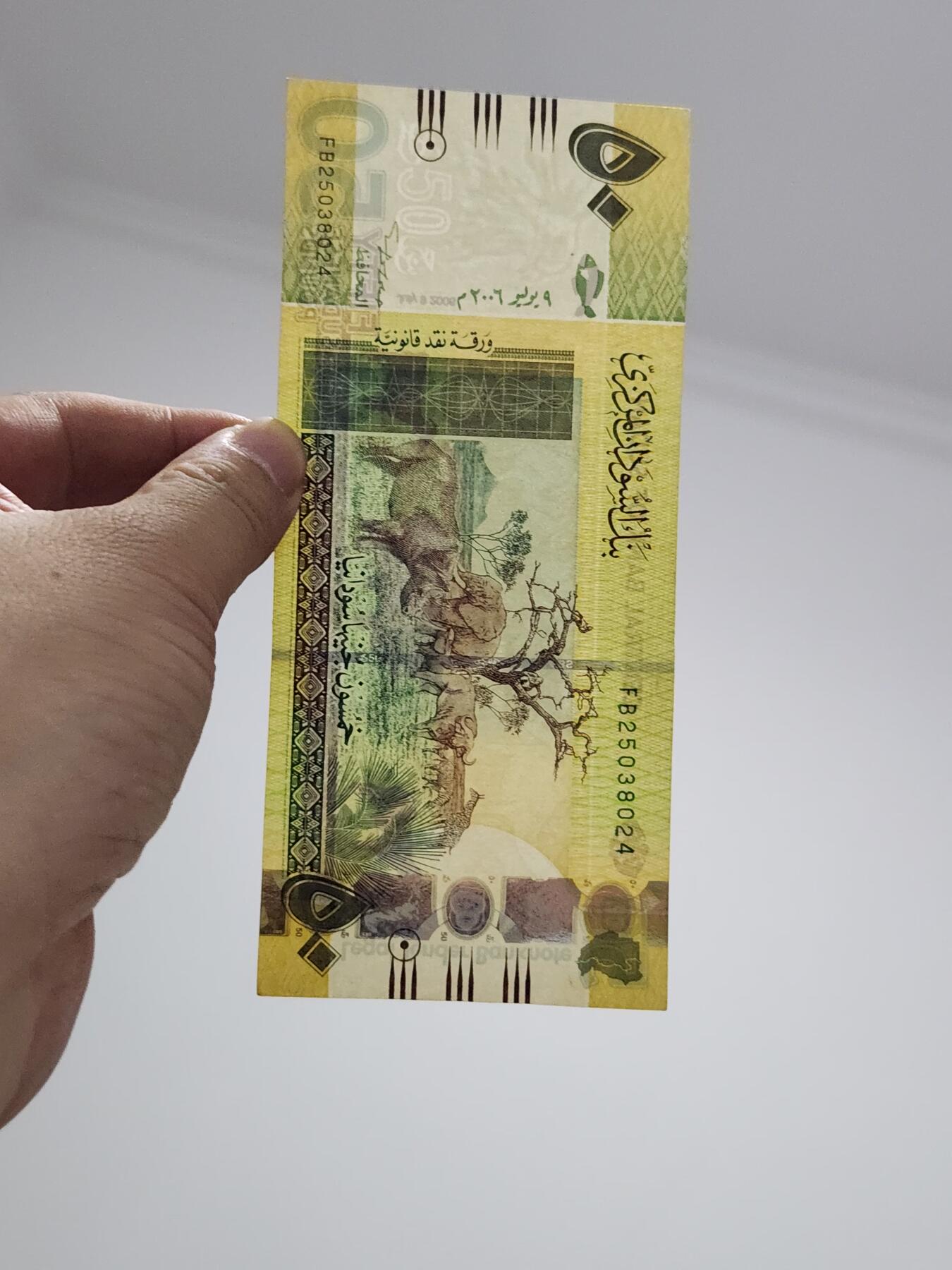 3月29号晚上8点 外国纸币自动截拍第48场