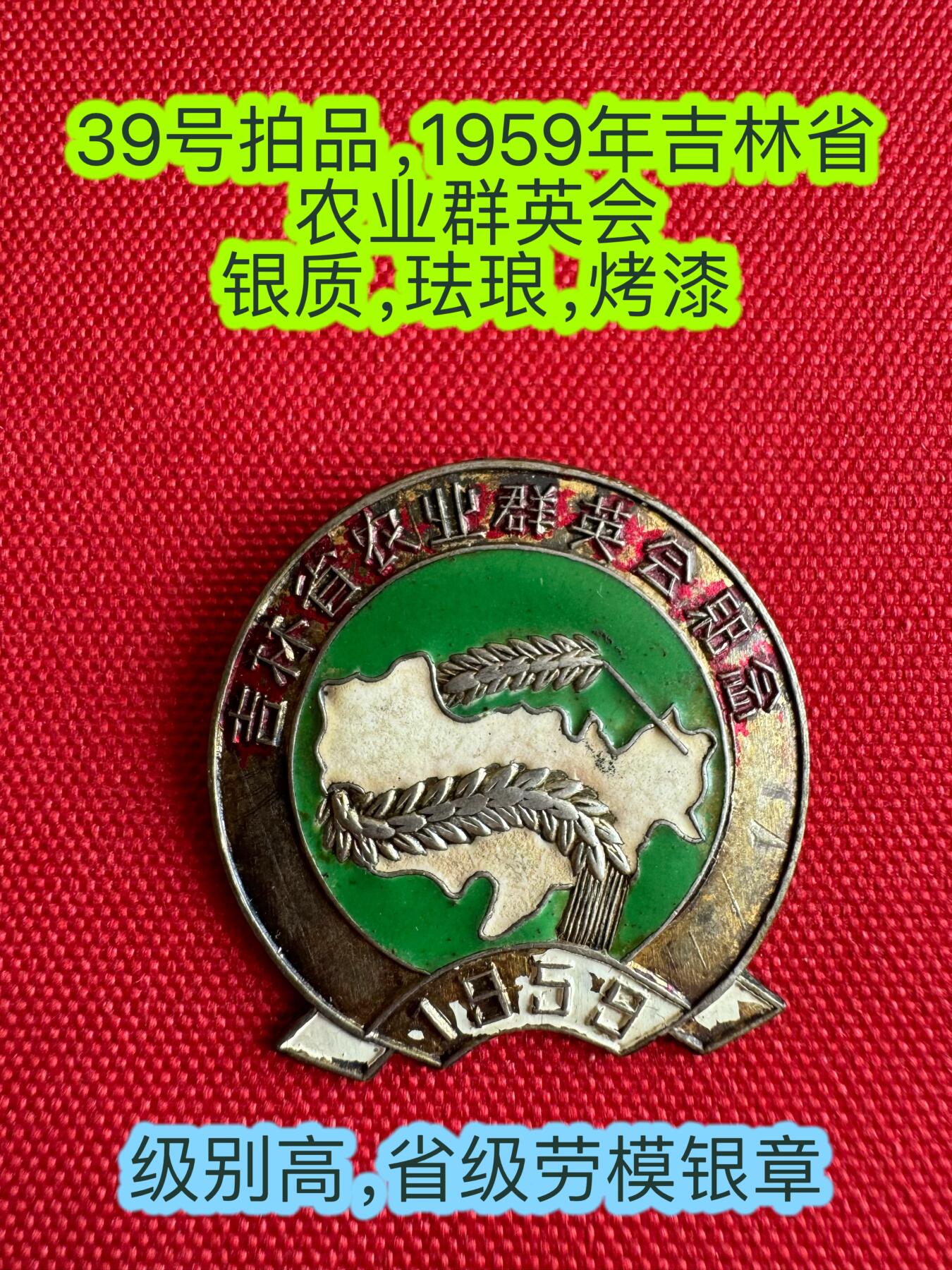 五哥徽章群   31号周二晚上八点4群联拍 银章