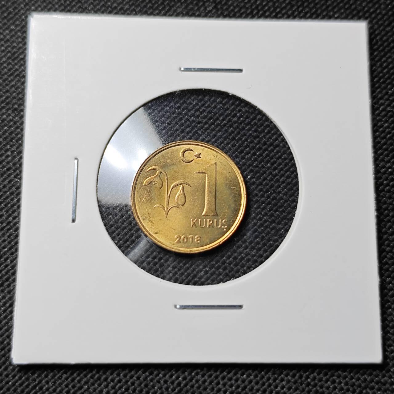 KK钱币收藏小铺  第412期 2月预留时间 周末发货 2018土耳其1库鲁 好品