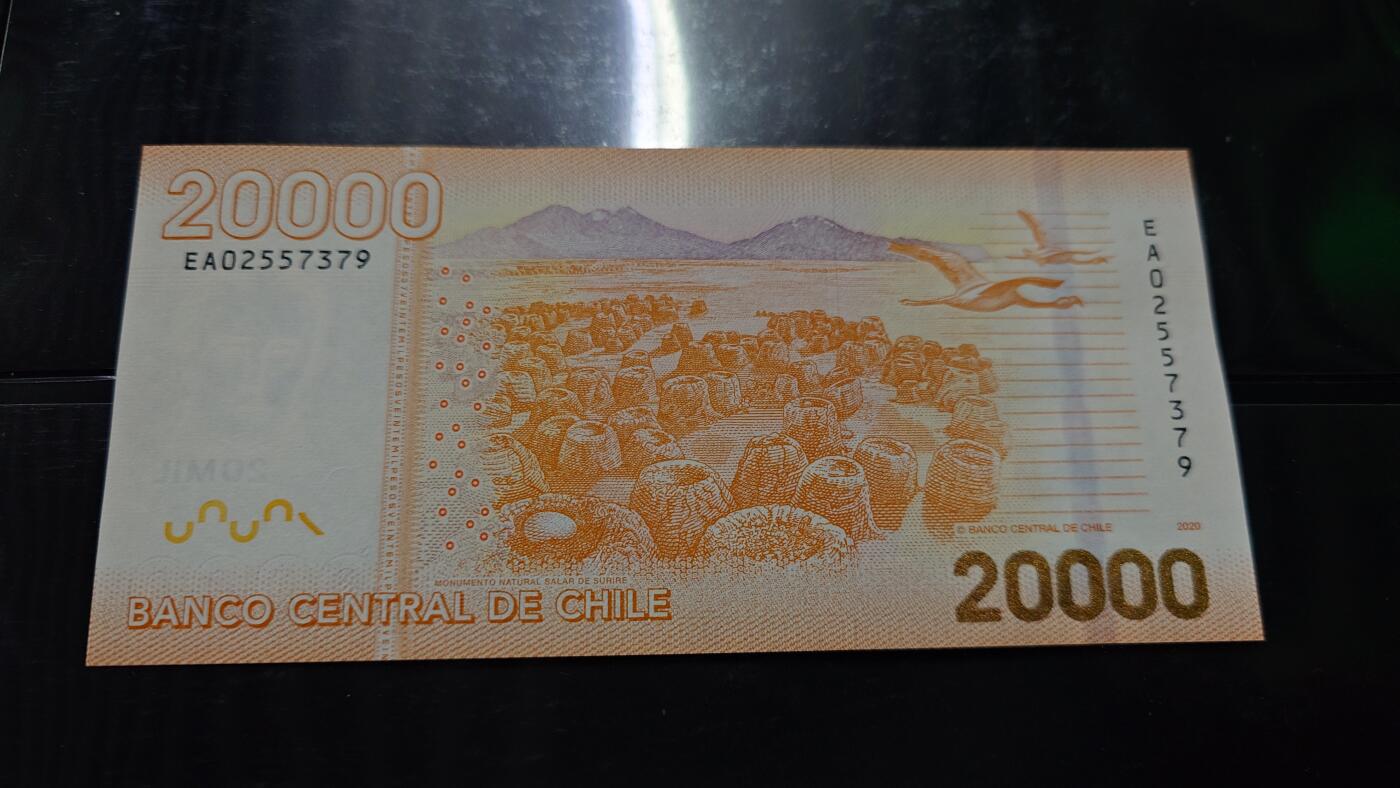 世界钱币～微拍第242期暨2026年第23期  老库存每款各1-2张清仓低价起拍 2020年智利20000比索 全新绝品无4尾号379