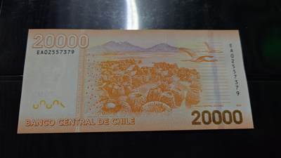 世界钱币～微拍第242期暨2026年第23期  老库存每款各1-2张清仓低价起拍 - 2020年智利20000比索 全新绝品无4尾号379