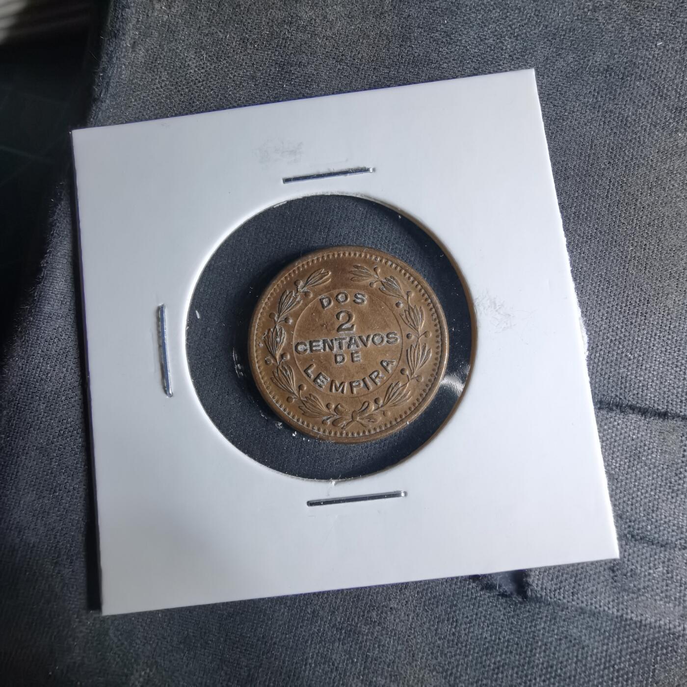 沼泽如烟--第1039场