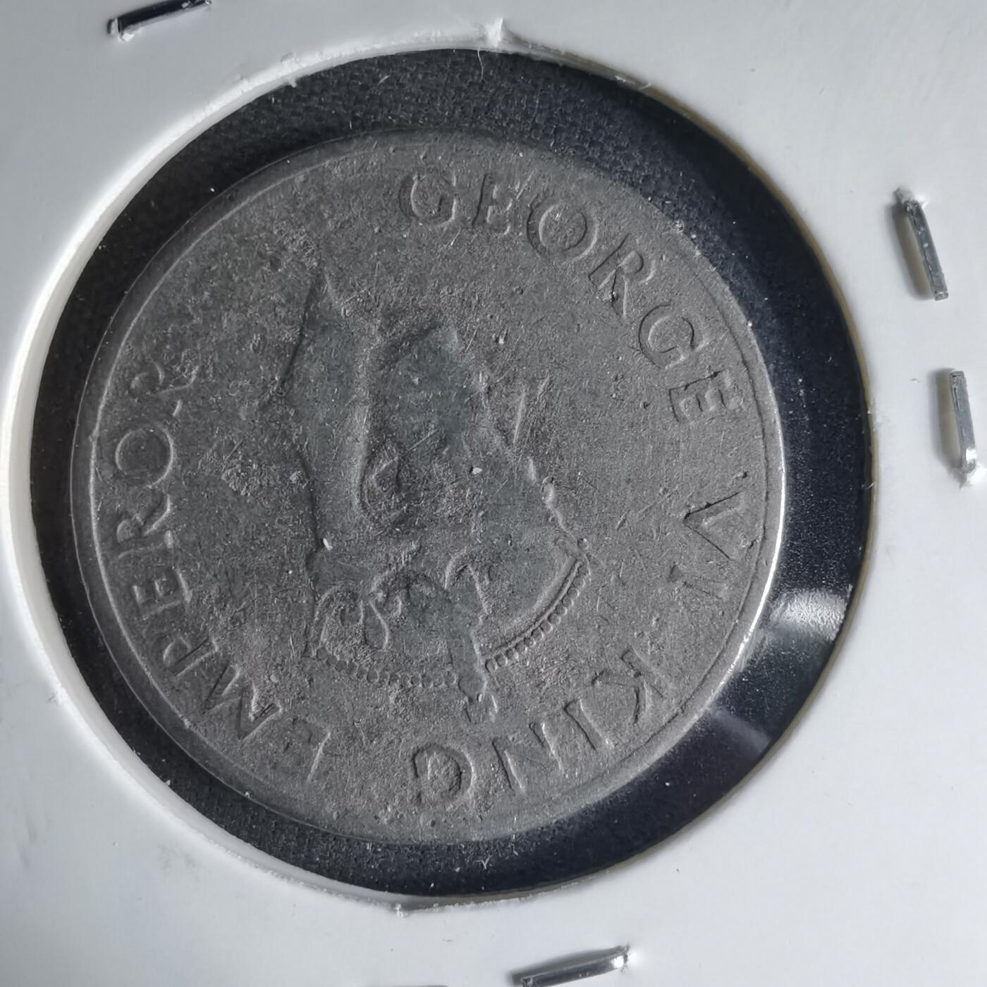 沼泽如烟--第1039场