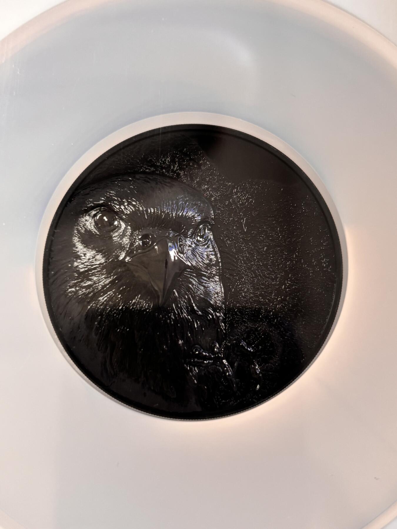 第196期拍卖 蒙古2023年动物猎鹰5盎司高浮雕钌化银币NGC-PF70，999银