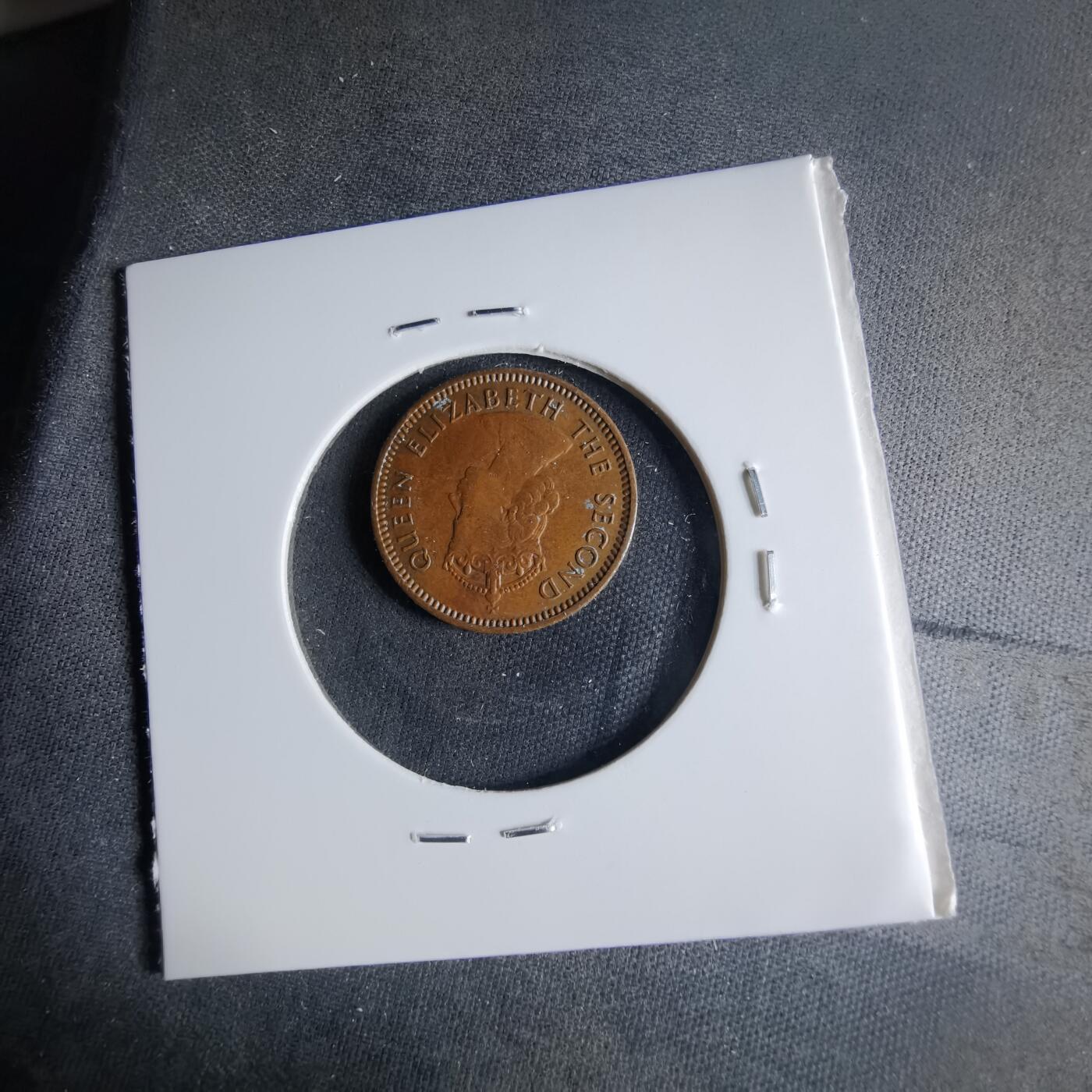 沼泽如烟--第1039场