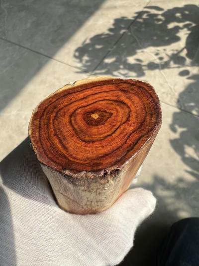 零元拍：  海南黄花梨。尺寸约145/45MM - 零元拍：  海南黄花梨。尺寸约145/45MM