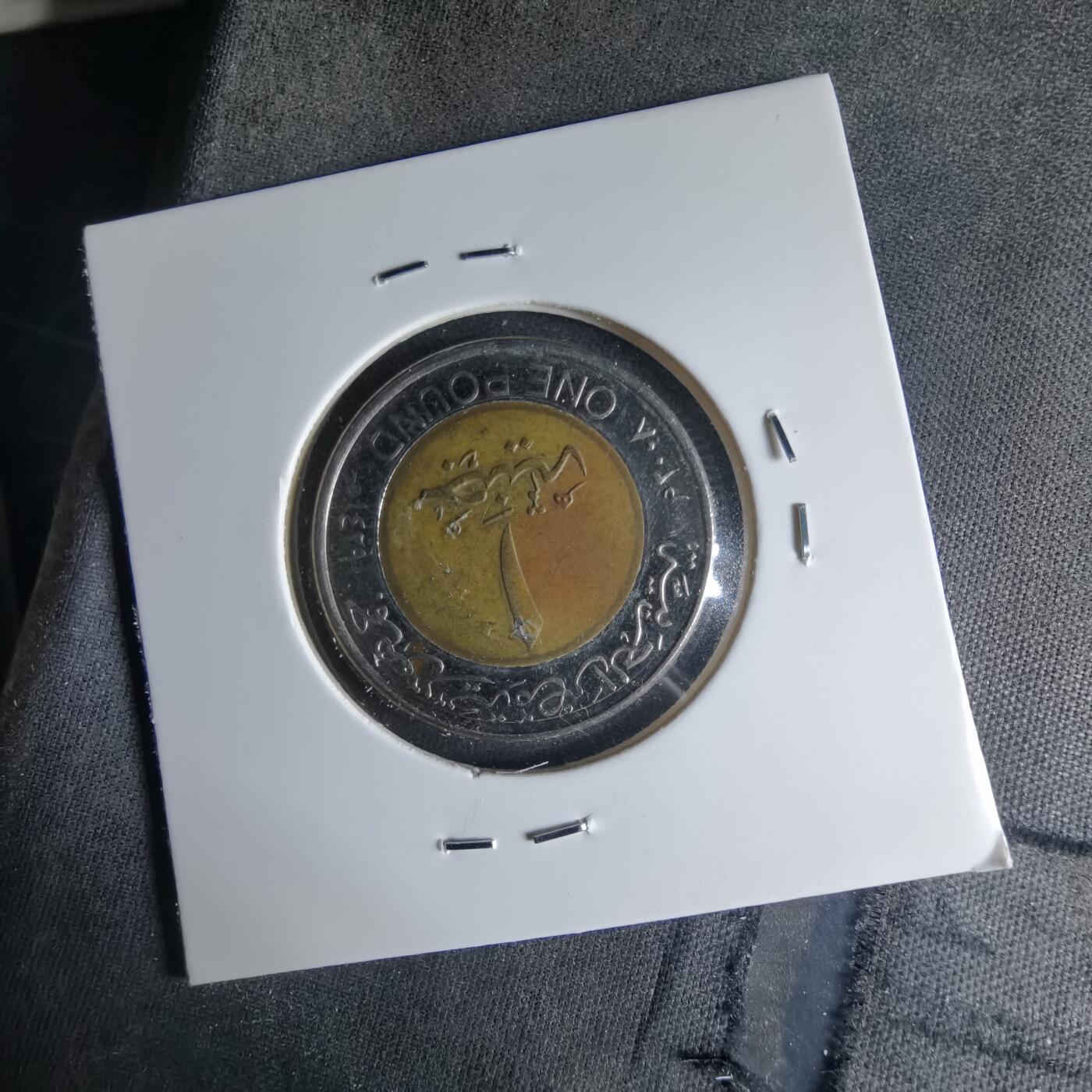 沼泽如烟--第1039场 埃及