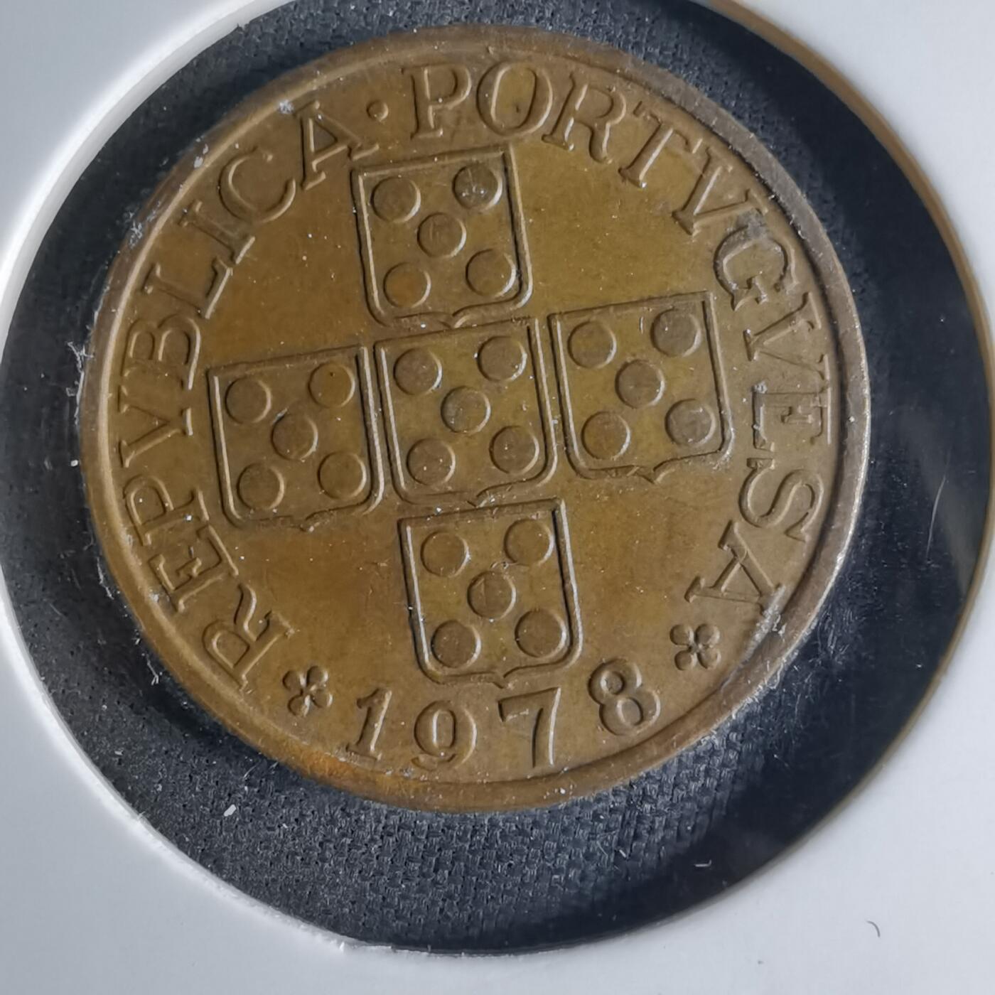 沼泽如烟--第1039场