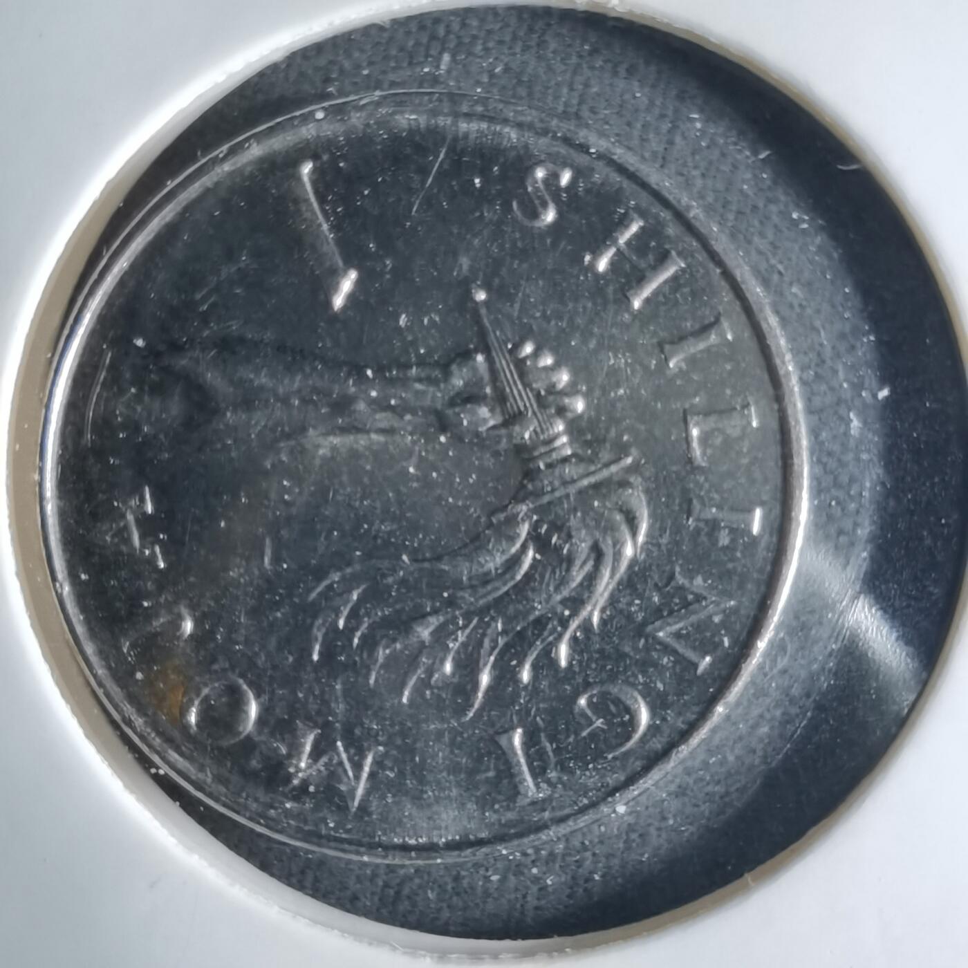 沼泽如烟--第1039场