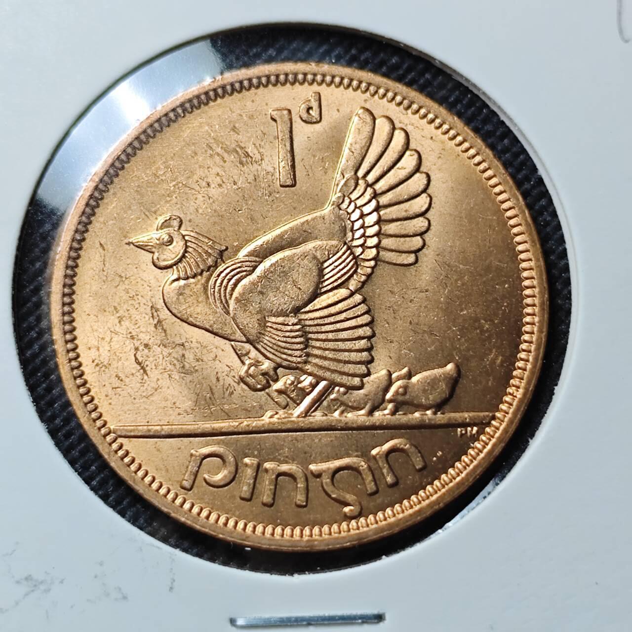 KK钱币收藏小铺  第412期 2月预留时间 周末发货 1968爱尔兰1便士 母鸡铜币