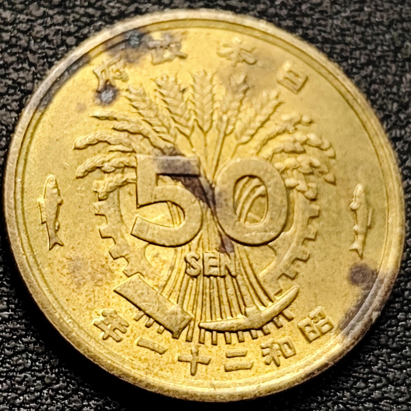 泉币菌-第218场-拍品多 请提前出价