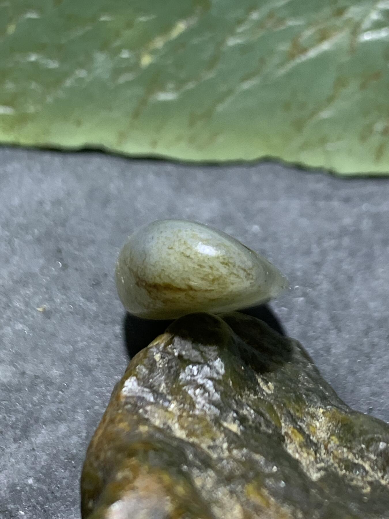 精美和田玉青花小独籽原石一颗