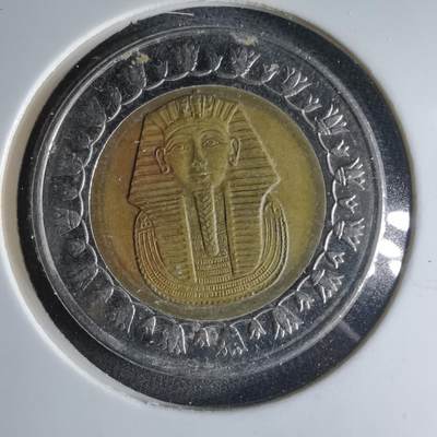 沼泽如烟--第1039场 - 埃及