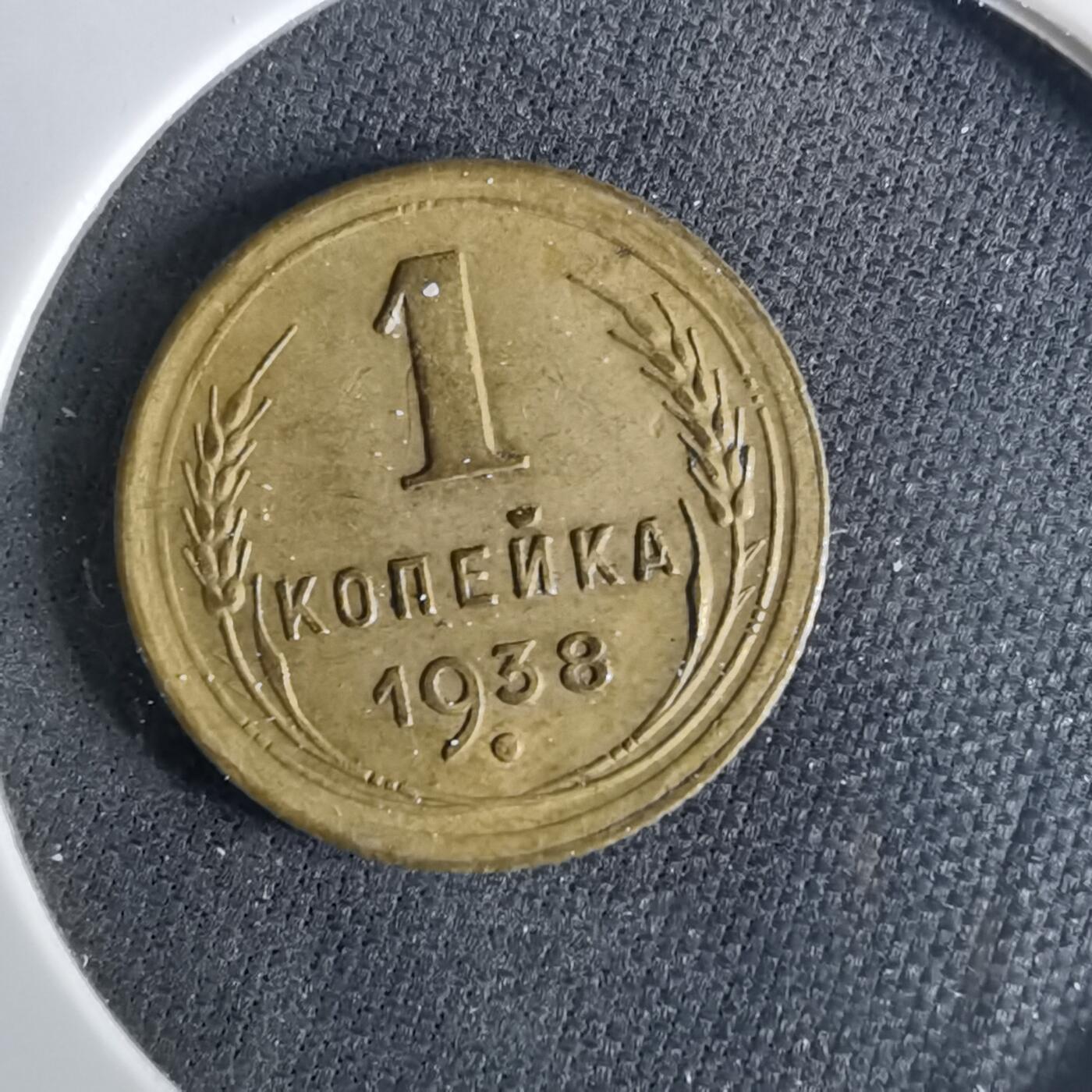 沼泽如烟--第1039场