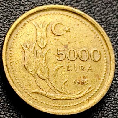 泉币菌-第218场-拍品多 请提前出价 - 1995年 稀少 土耳其5000里拉 28.5mm