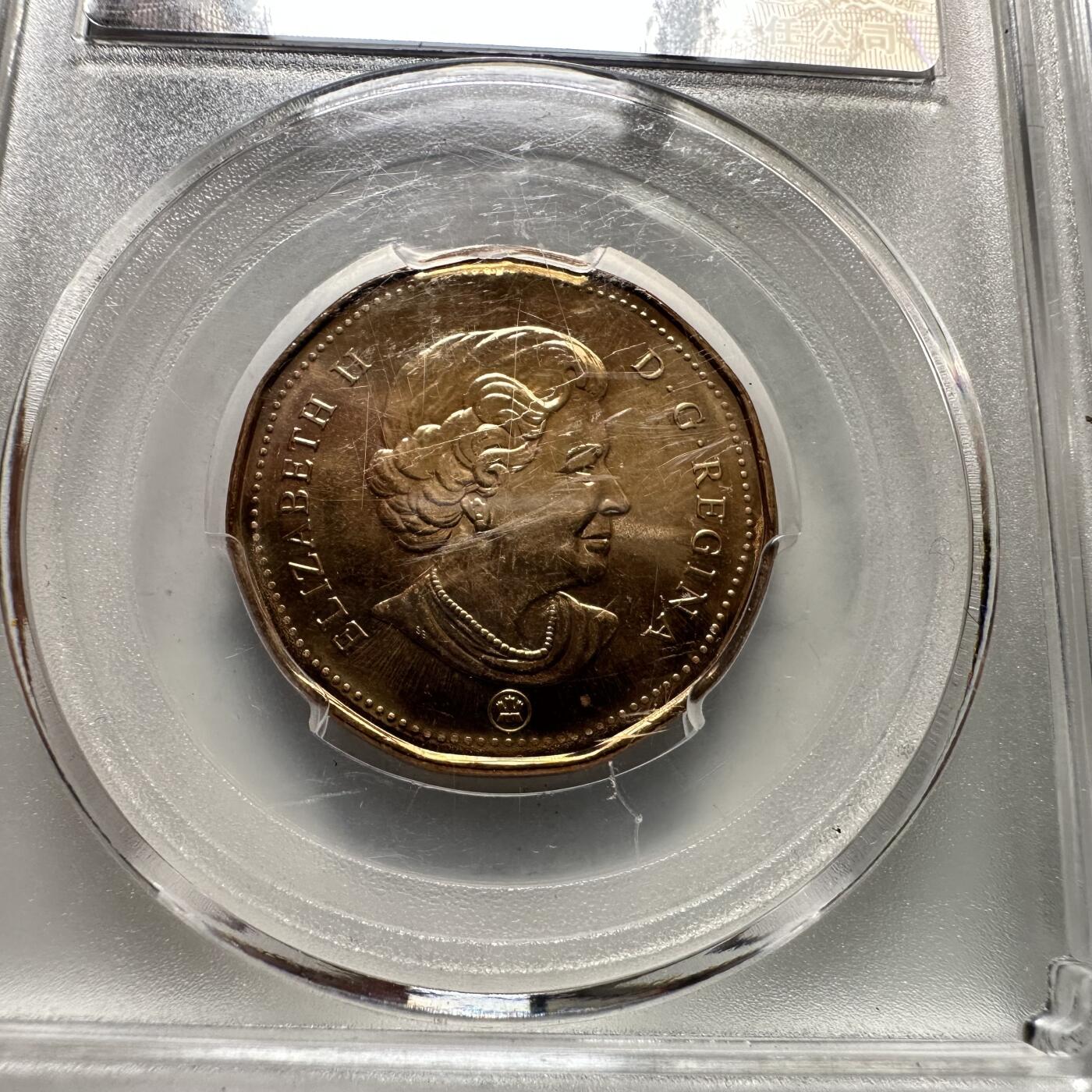 🌹外币初藏🌹🐯2026年第35场   每周二四六晚8️⃣点 接代拍 加拿大2008年¥1奥运纪念币