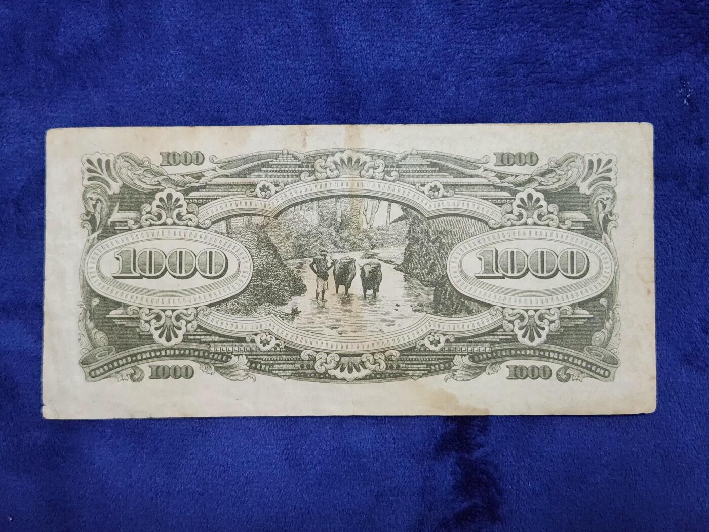 3月29号晚上8点 外国纸币自动截拍第48场