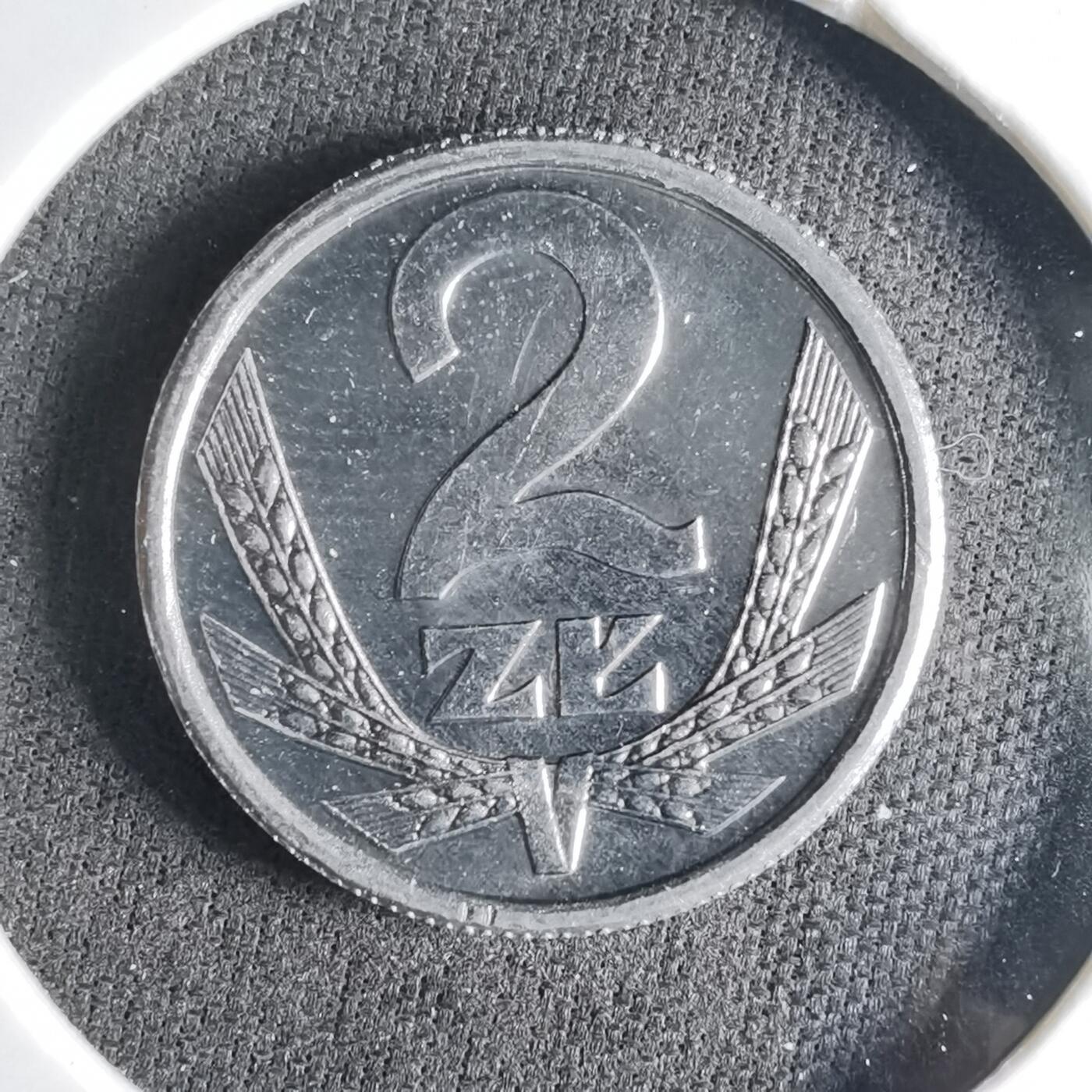 沼泽如烟--第1039场