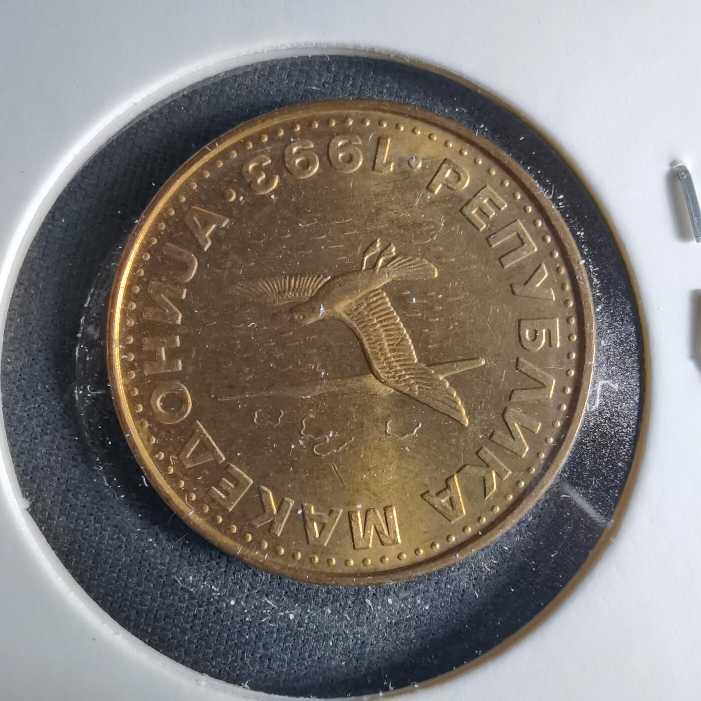 沼泽如烟--第1039场