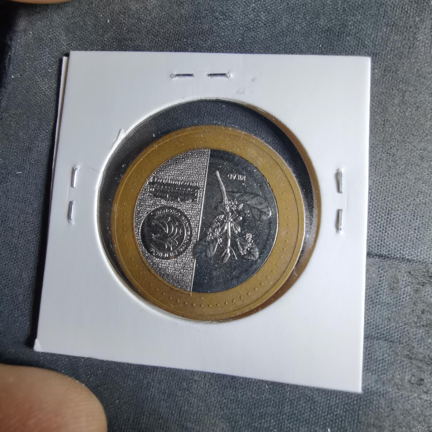 沼泽如烟--第1039场 菲律宾2021年20比索