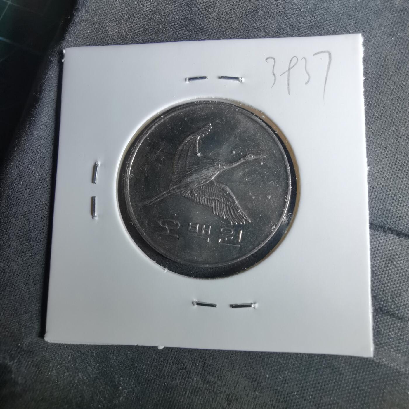 沼泽如烟--第1039场