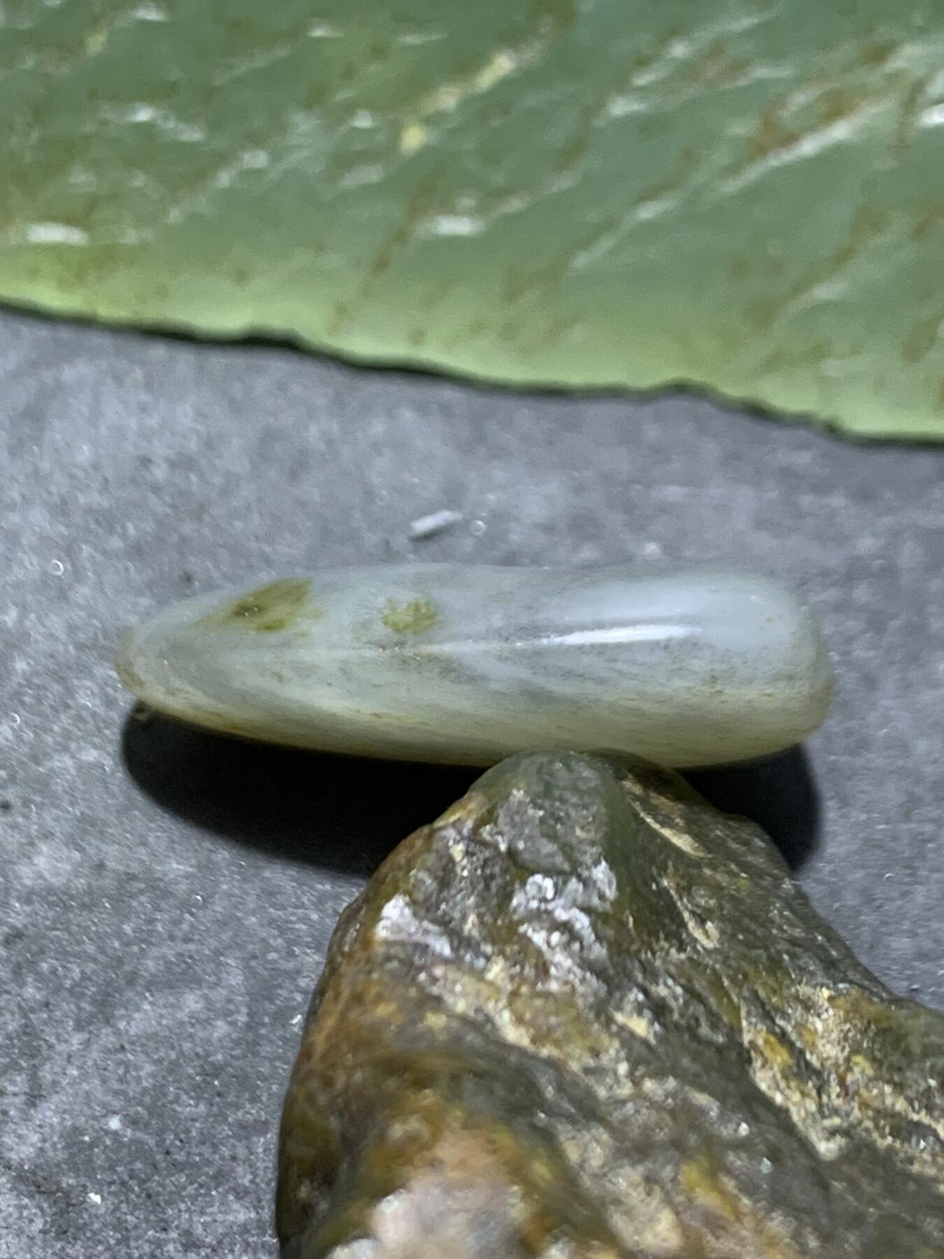 精美和田玉青花小独籽原石一颗