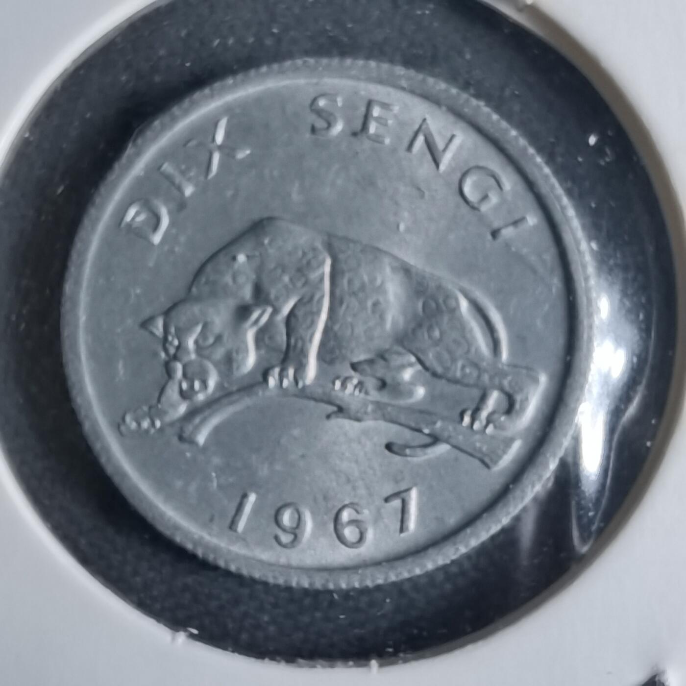 沼泽如烟--第1040场 刚果1967年10分