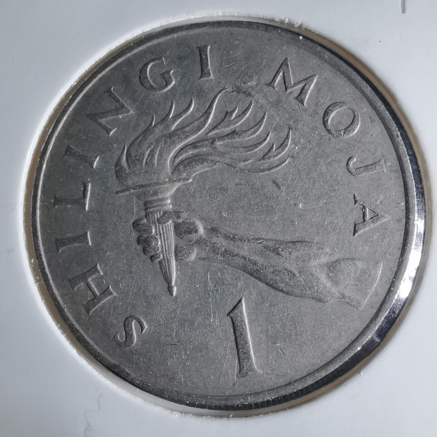 沼泽如烟--第1039场