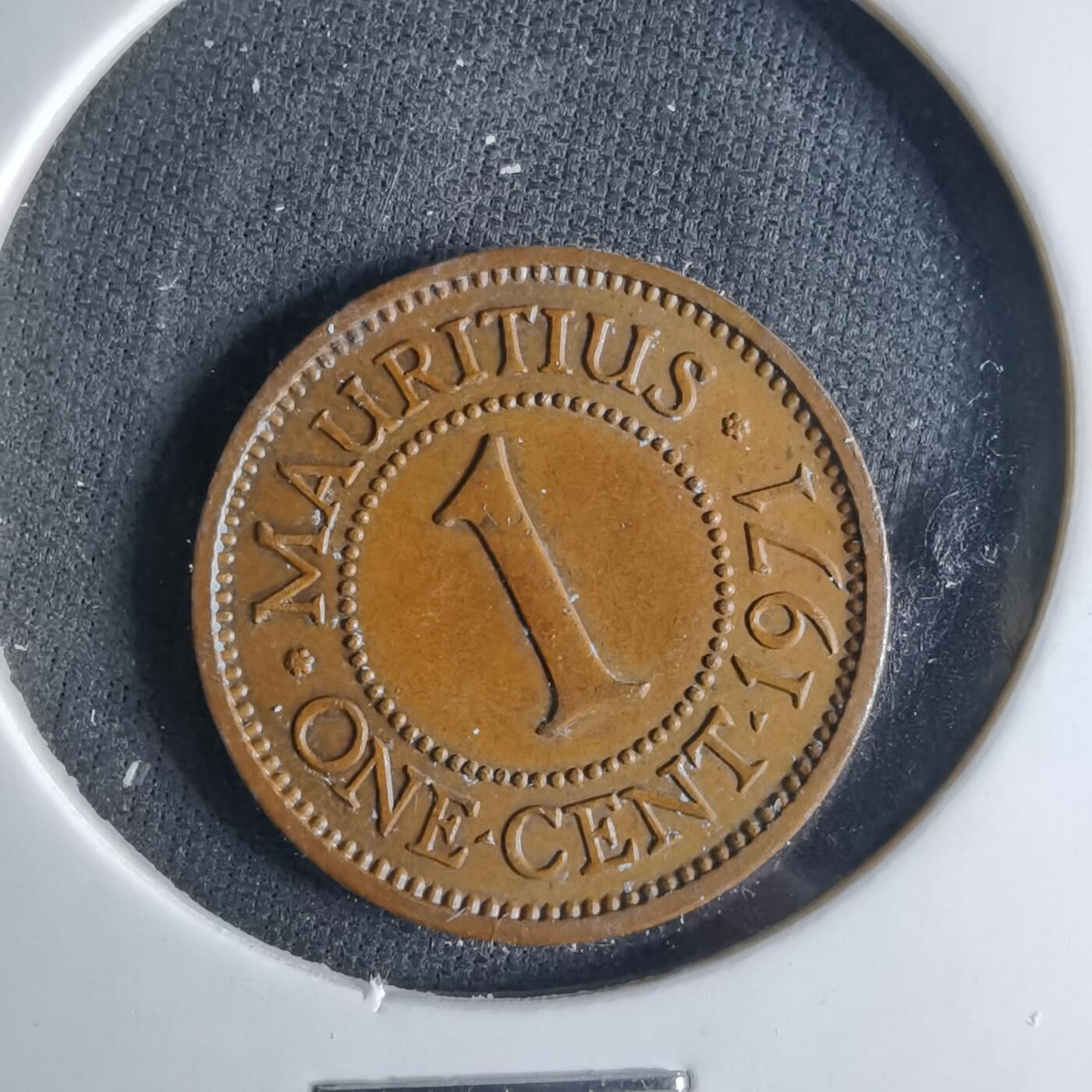 沼泽如烟--第1039场