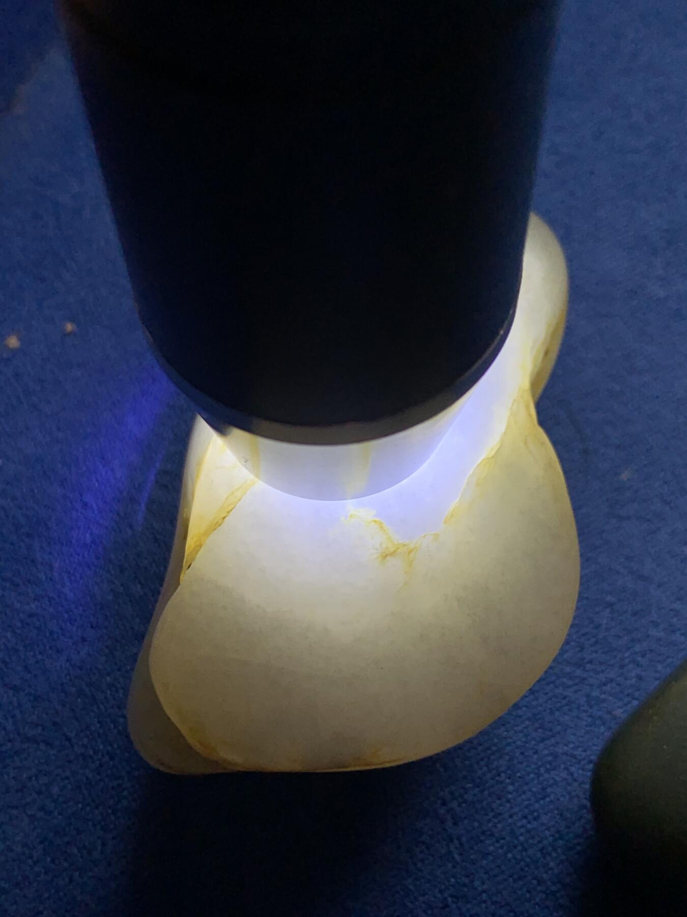 《竞宝斋》第476场 周日，周一 2场连拍 （全场包邮）欢迎送拍 三枚一组 籽料原石 总重125克