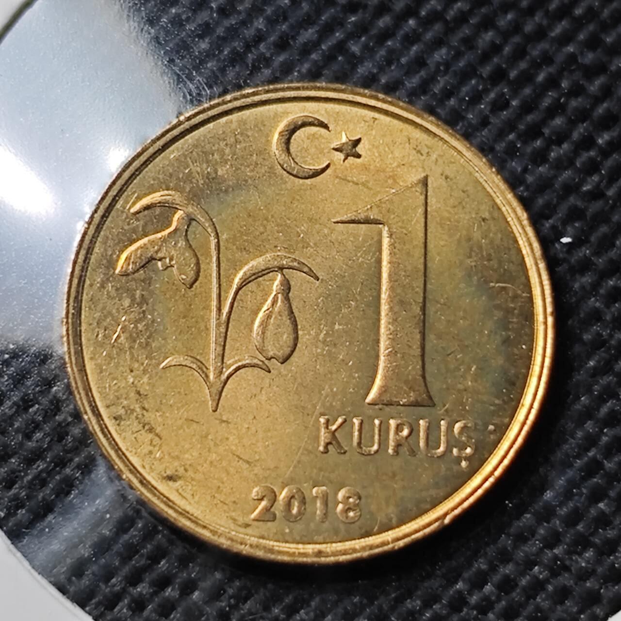 KK钱币收藏小铺  第412期 2月预留时间 周末发货 2018土耳其1库鲁 好品