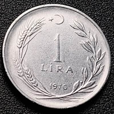 泉币菌-第218场-拍品多 请提前出价 - 字边防伪币 土耳其1970年代 1里拉不锈钢硬币 麦穗 27毫米