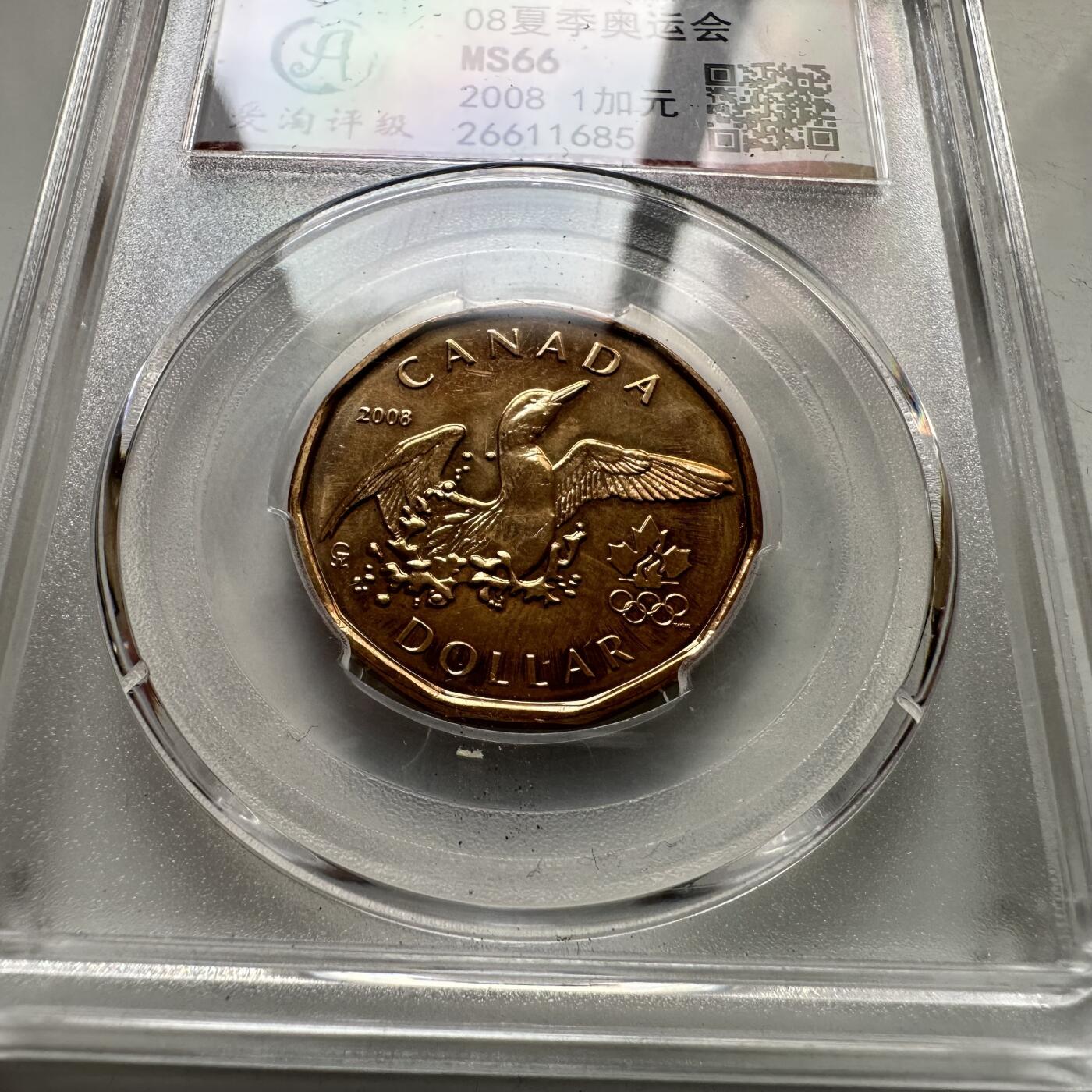 🌹外币初藏🌹🐯2026年第35场   每周二四六晚8️⃣点 接代拍 加拿大2008年¥1奥运纪念币