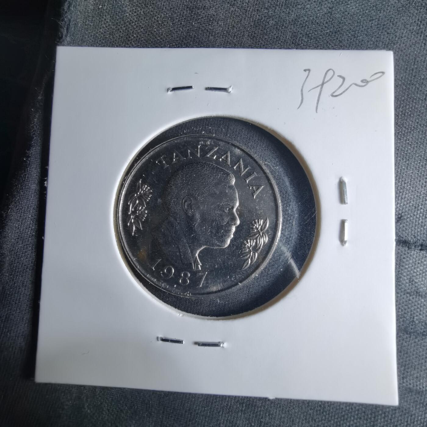 沼泽如烟--第1039场