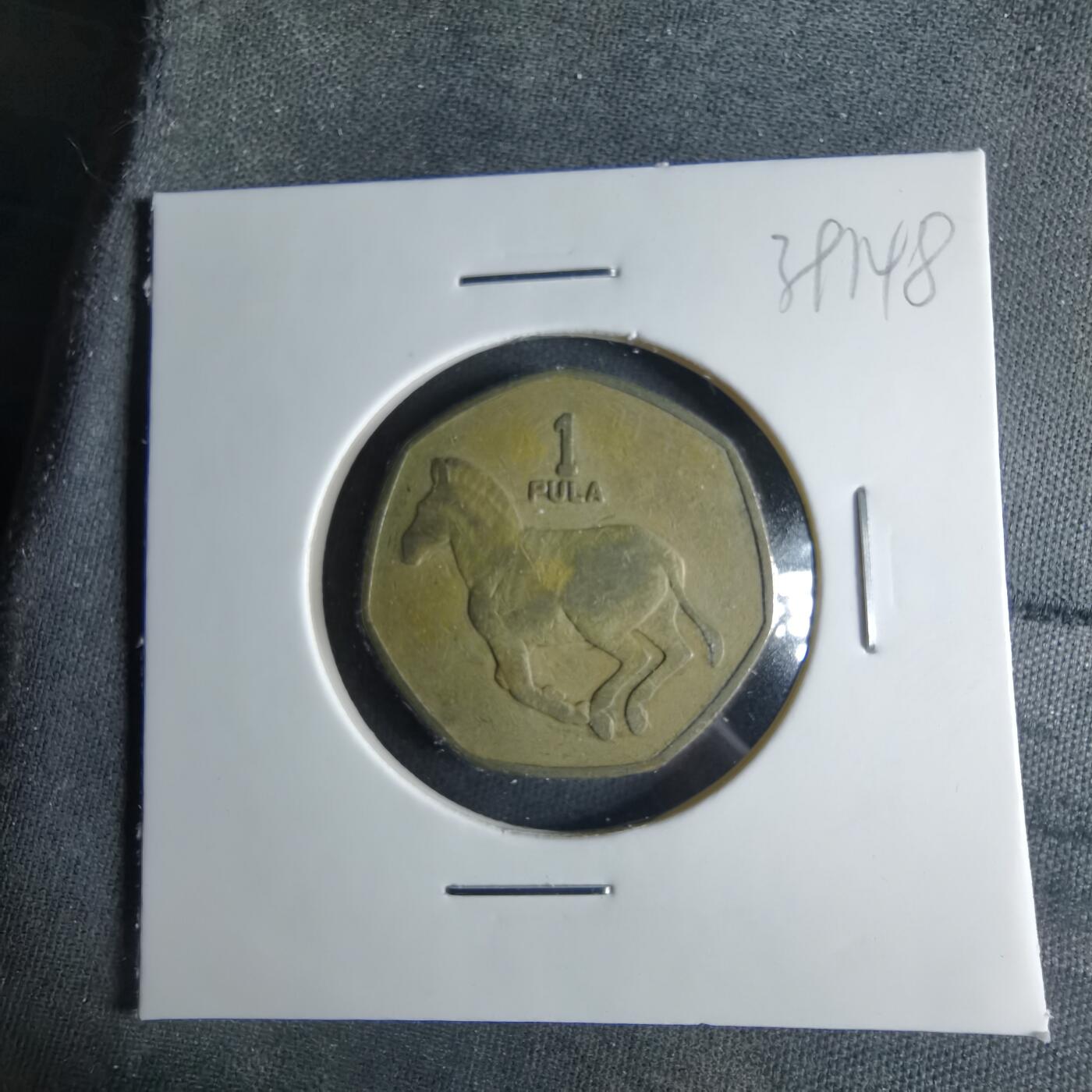 沼泽如烟--第1039场