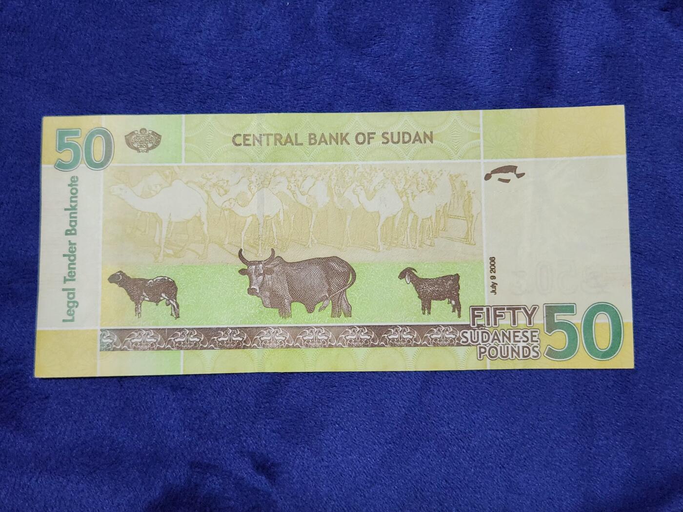 3月29号晚上8点 外国纸币自动截拍第48场