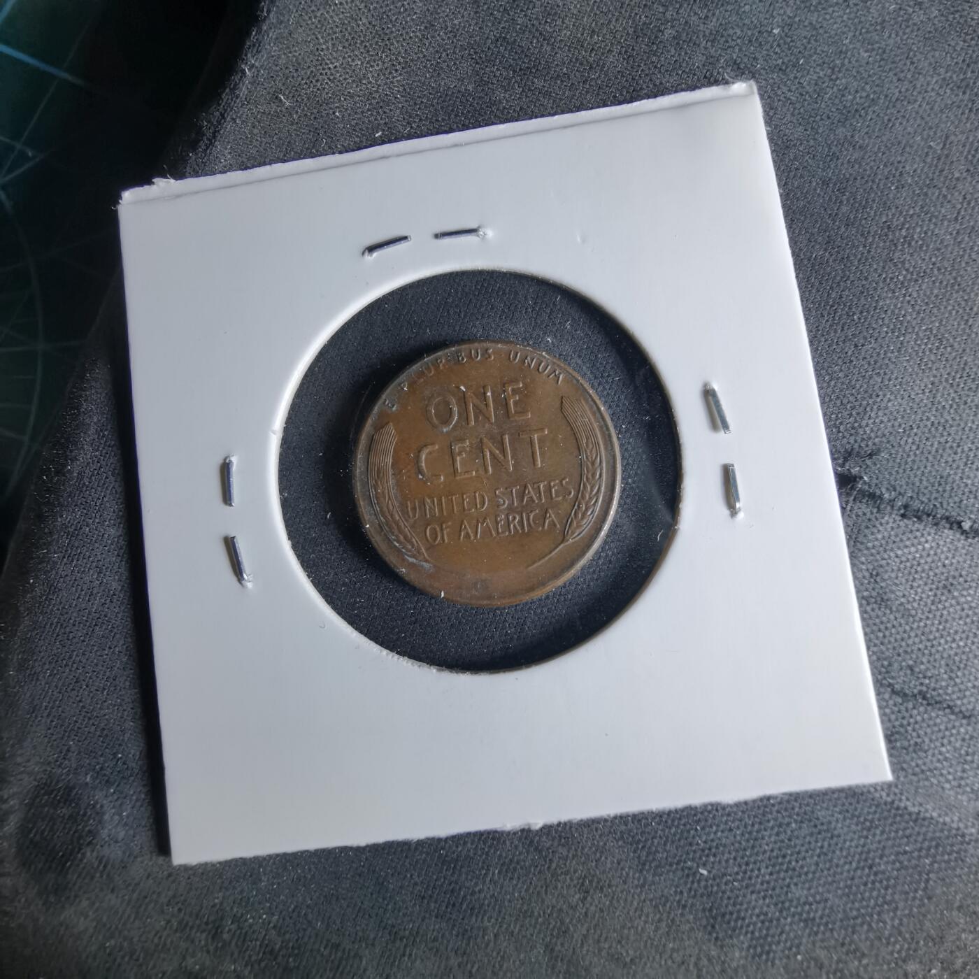 沼泽如烟--第1039场